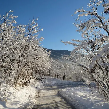 La Chiocciola...the Snail アパート *