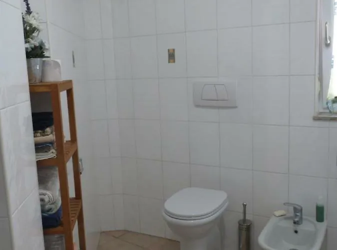 La Chiocciola...the Snail *