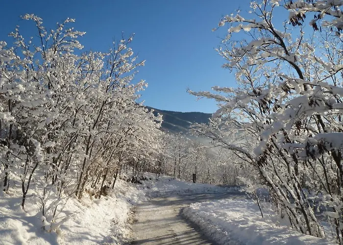La Chiocciola...the Snail 公寓 *